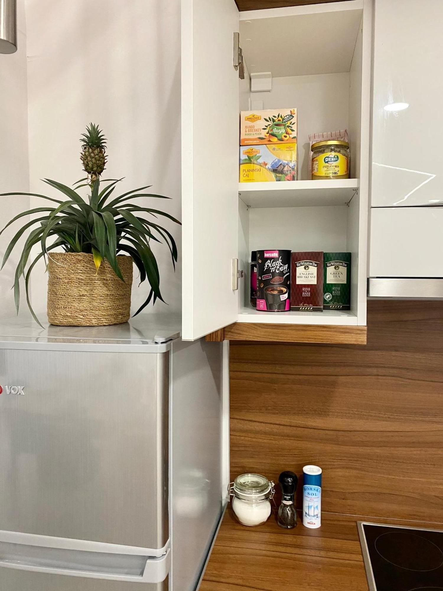 Jungle Loft - Central/Free Parking Lublana Zewnętrze zdjęcie