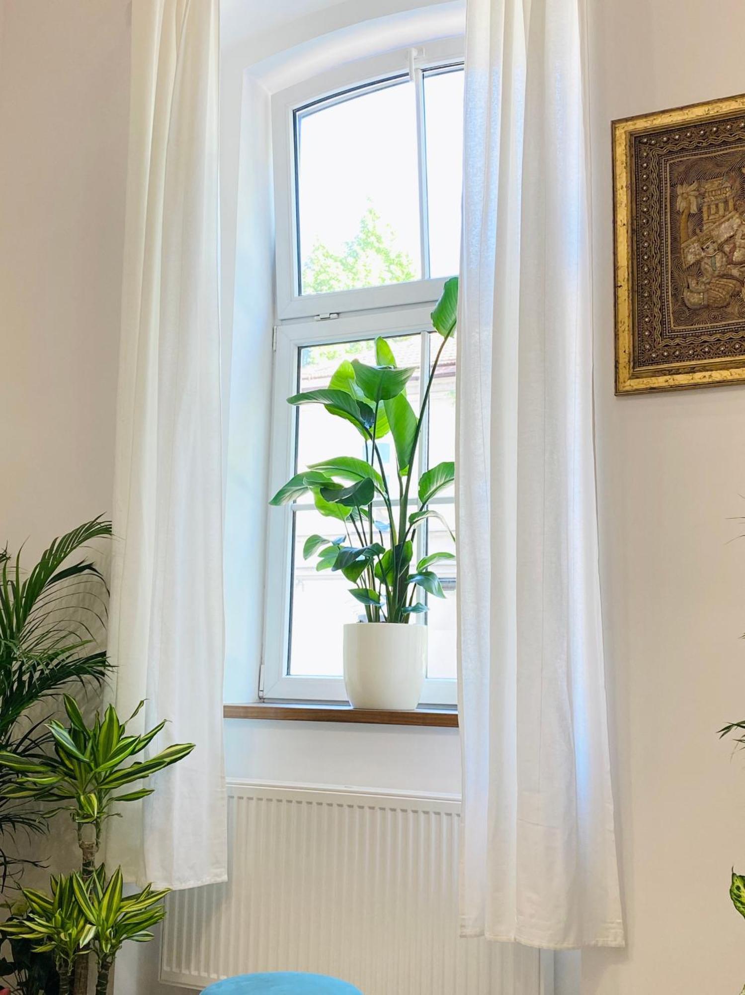 Jungle Loft - Central/Free Parking Lublana Zewnętrze zdjęcie