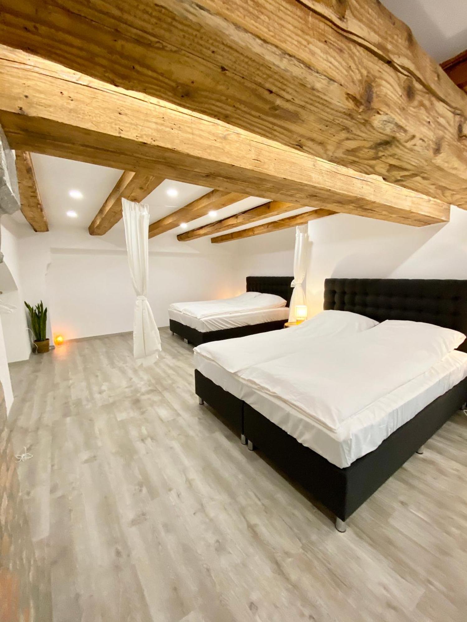 Jungle Loft - Central/Free Parking Lublana Zewnętrze zdjęcie